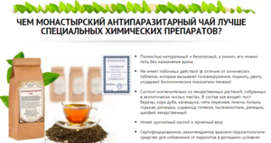 Состав монастырского чая от паразитов и грибков в домашних условиях