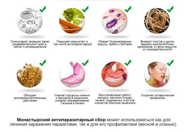Состав монастырского чая от паразитов и грибков в домашних условиях