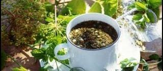 Какие травы входят в состав монастырского чая для поджелудочной